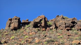 GC-Mirador El Mulato 2025-40.jpg